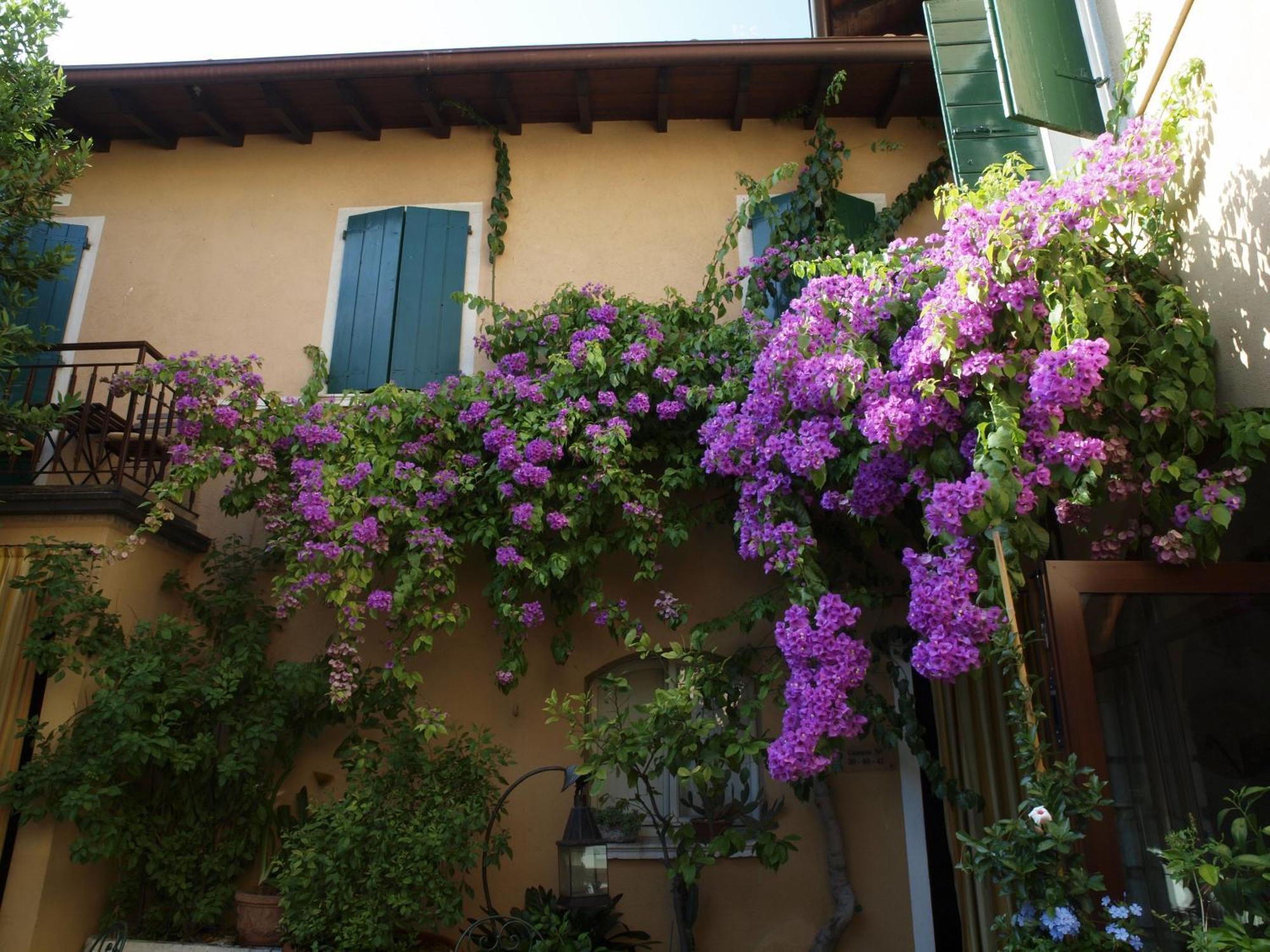 Hotel San Filis San Felice del Benaco Exteriör bild
